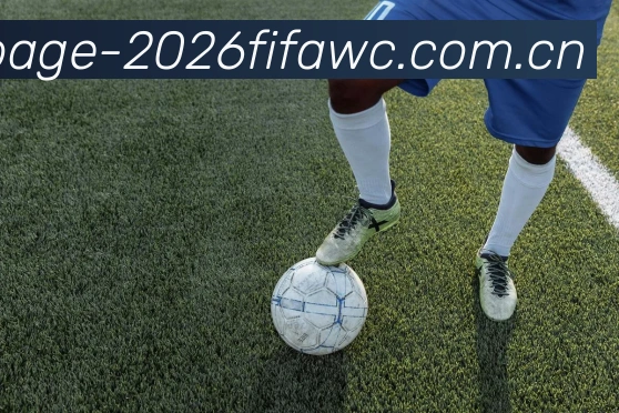 2026世界杯用户界面